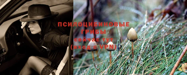 мет Краснослободск